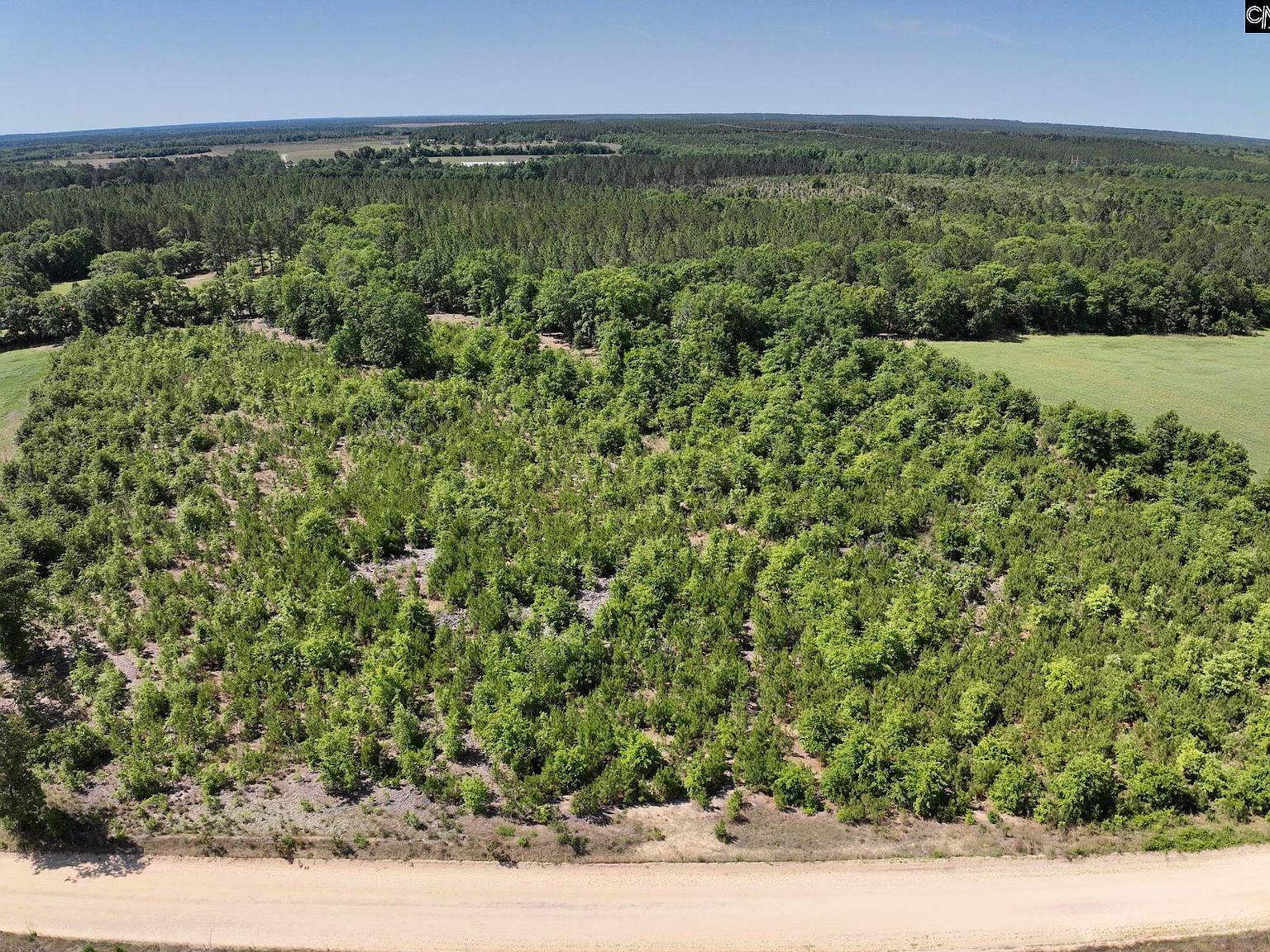 LOT 2 Charlie Johnson Rd Bethune, SC 29009 - Thumbnail 4