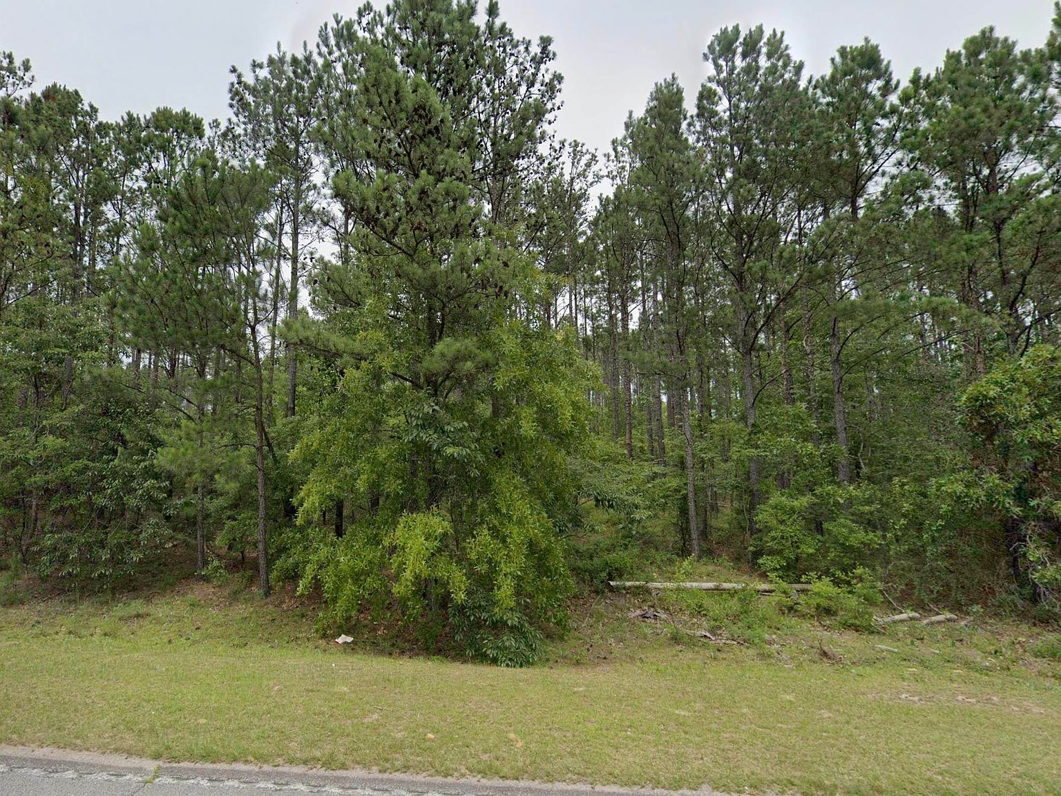 1550 Jones Rd Kershaw, SC 29067 - Thumbnail 4