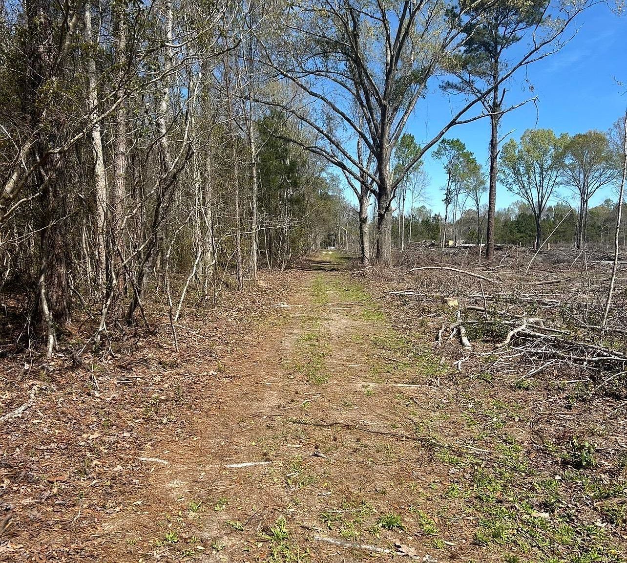 1856 River Rd Greeleyville, SC 29056 - Thumbnail 4