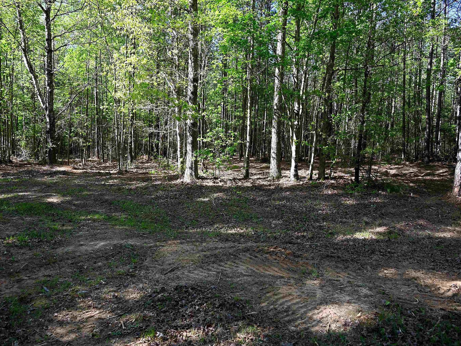 Spalding Dr Blackstock, SC 29014 - Thumbnail 4