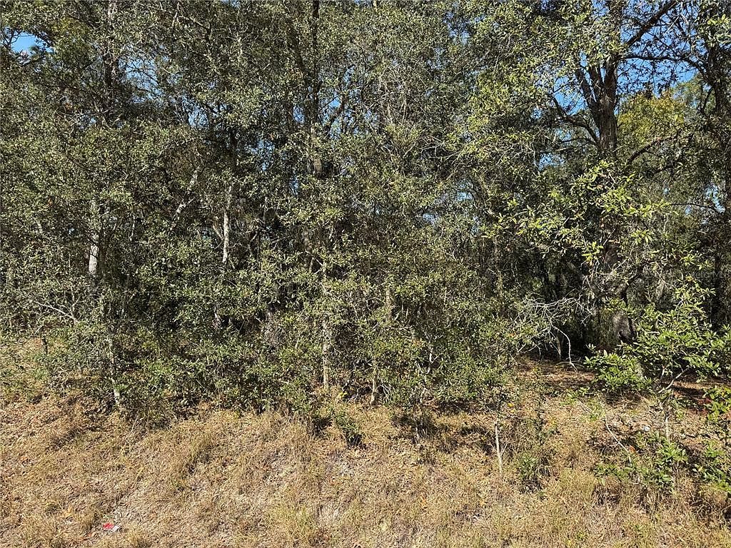 SE 115th Place Rd LOT 6 Ocklawaha, FL 32179 - Thumbnail 4
