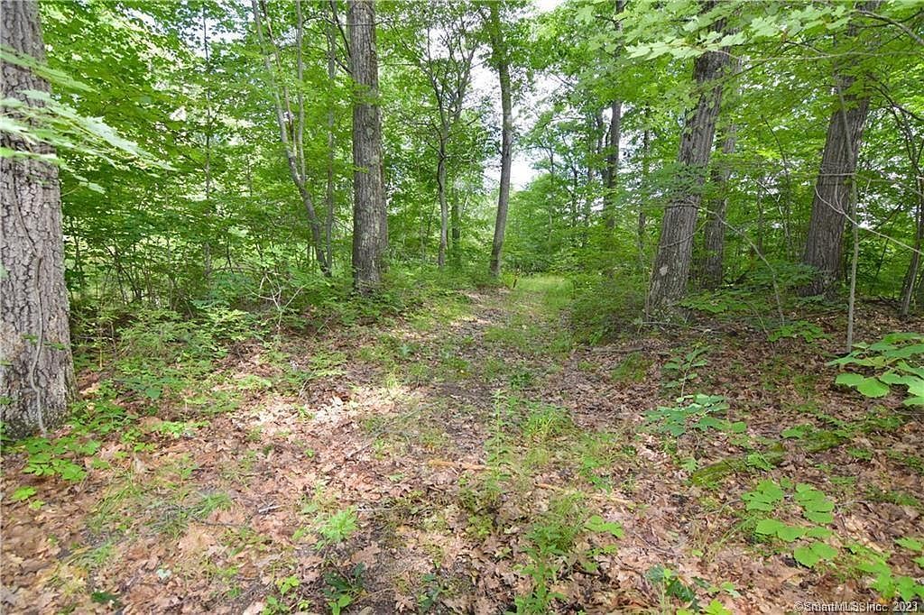 0 Montoe Rd Waterbury, CT 06701  | Land/Lot