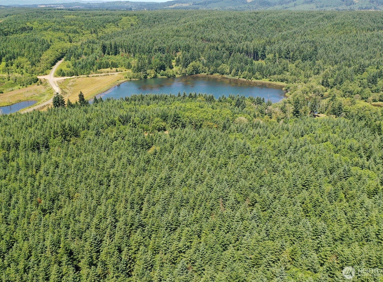 21500 Tono Rd SE Centralia, WA 98531 - Thumbnail 4