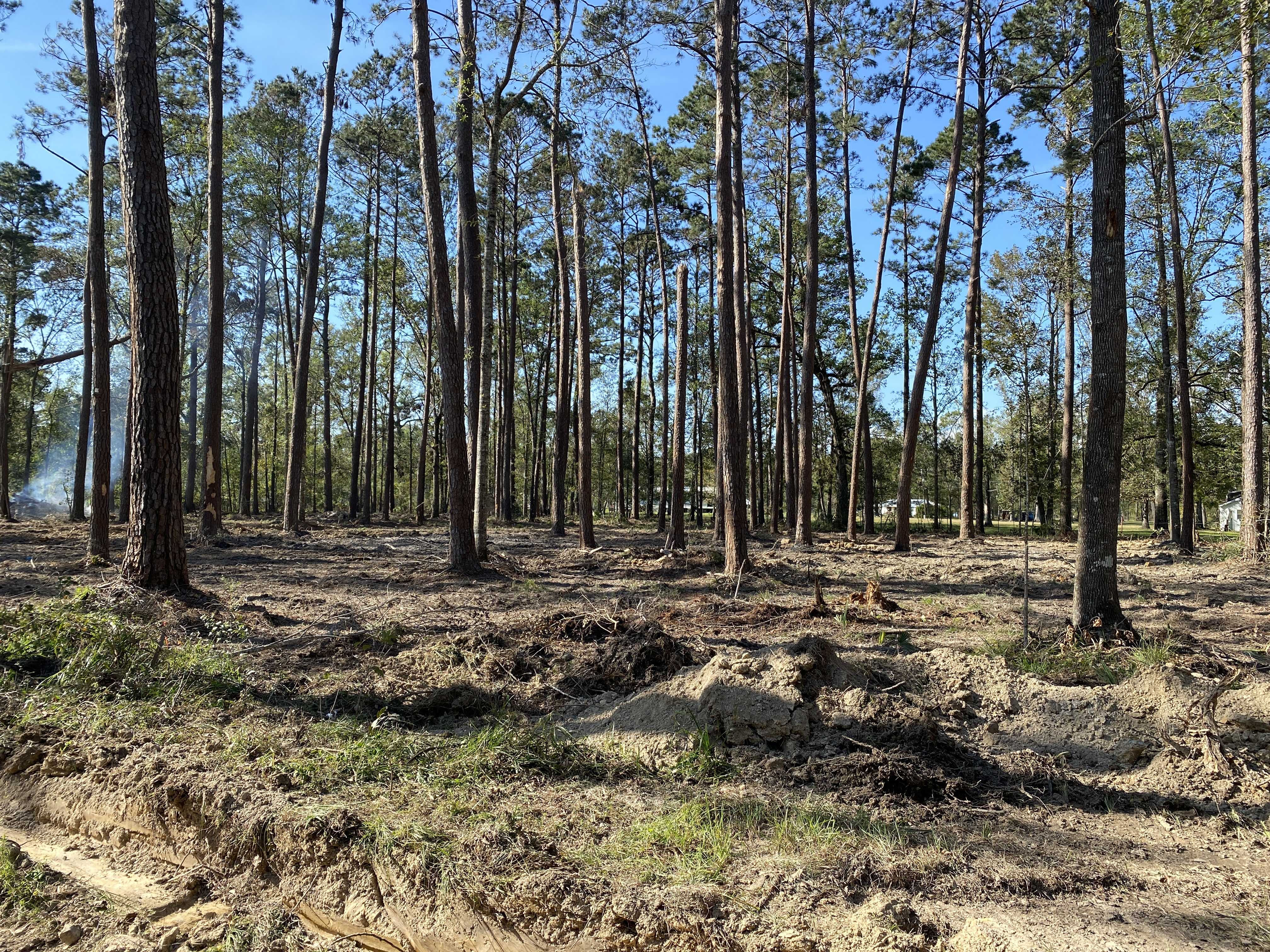 Cypress Lane, Springfield, LA, USA, 70462  | Land/Lot