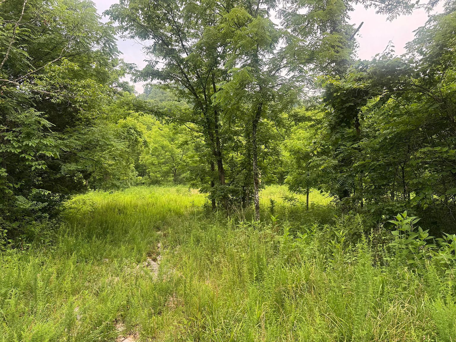 500 Hail Bridge Rd Somerset, KY 42501 - Thumbnail 4