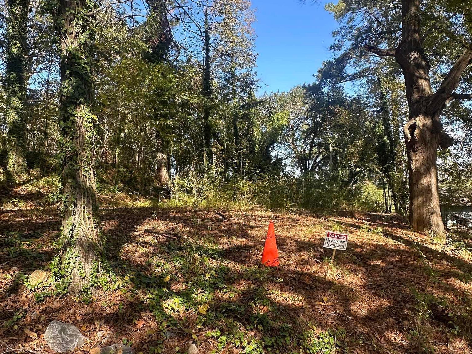 4 Smith Ln Guntersville, AL 35976 - Thumbnail 4