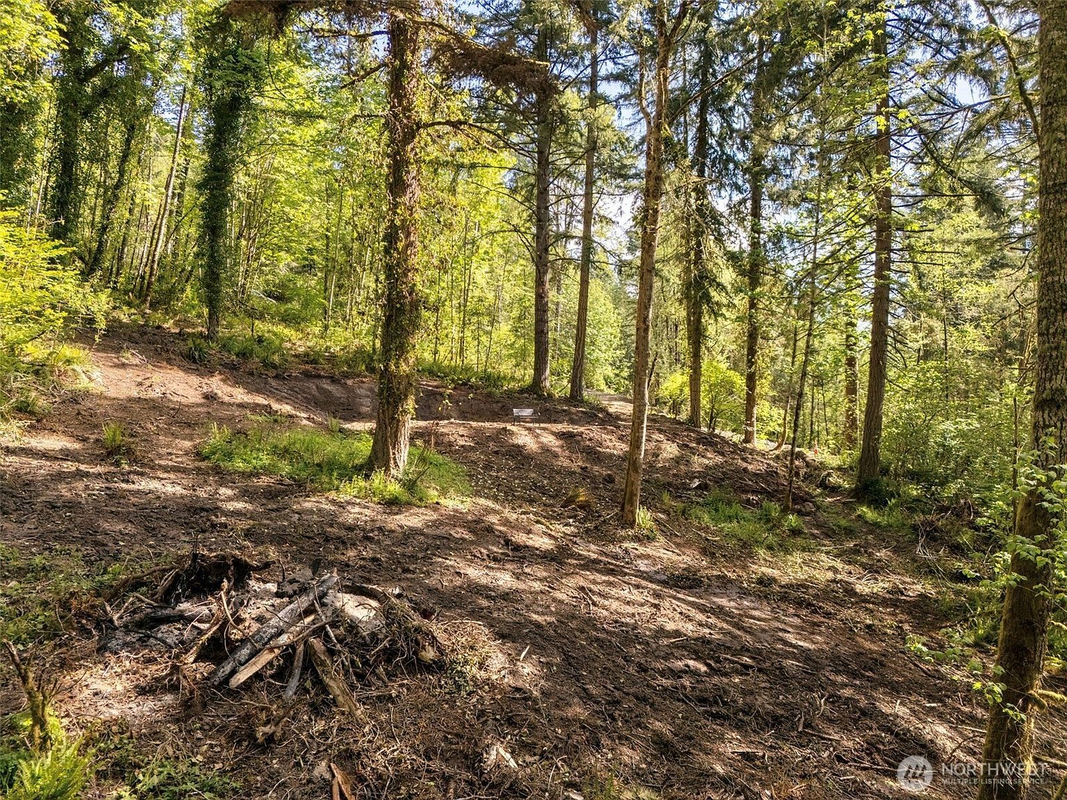 147 Old Spreadborough Rd Kalama, WA 98625 - Thumbnail 4