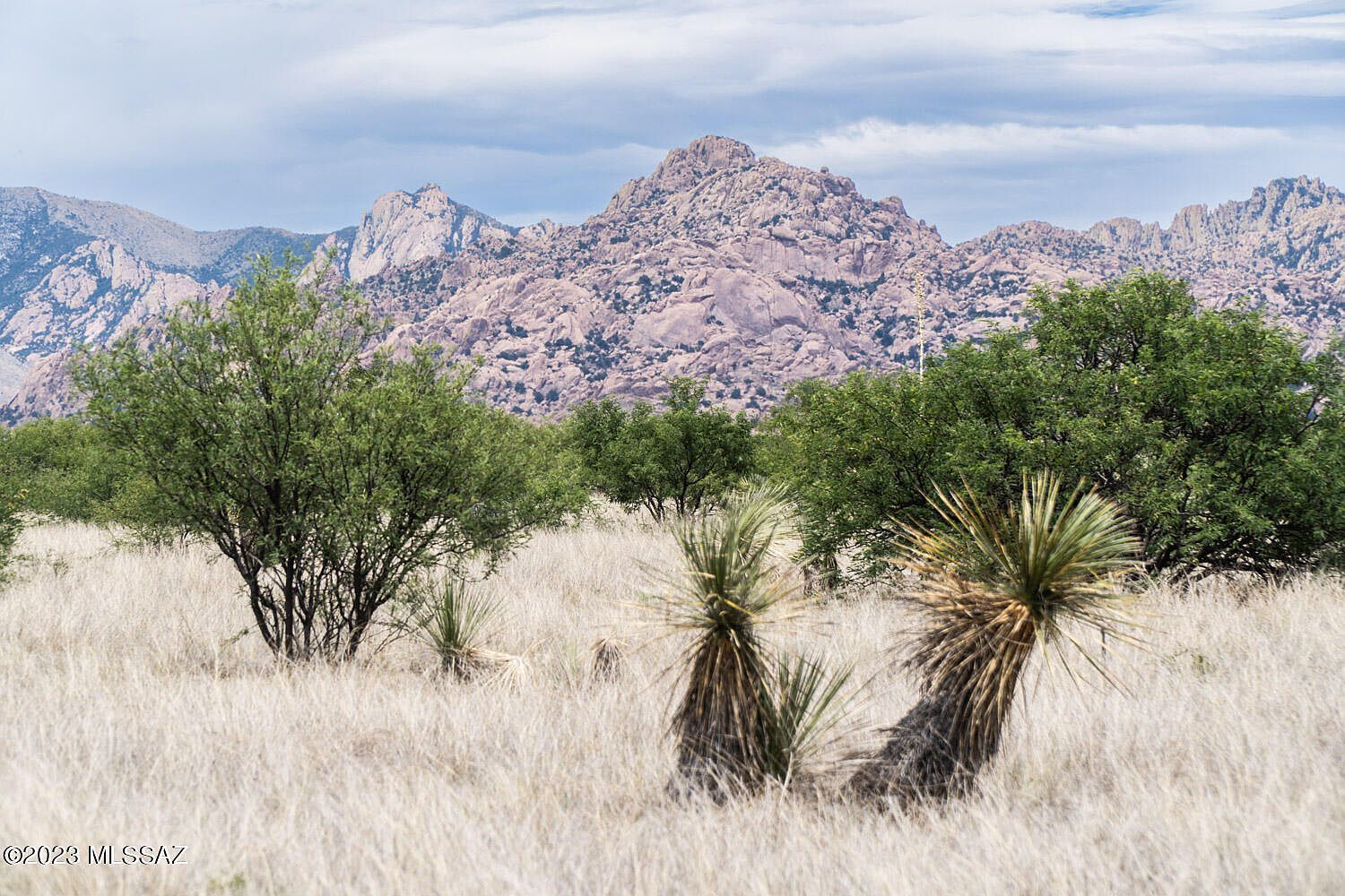 E Tom Jeffords Dr #66 Saint David, AZ 85630 - Thumbnail 4