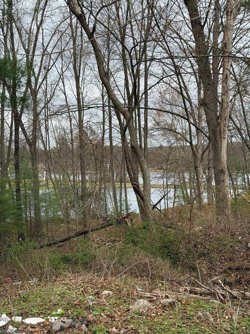 232 Lake Shr E Montague, NJ 07827 - Thumbnail 4