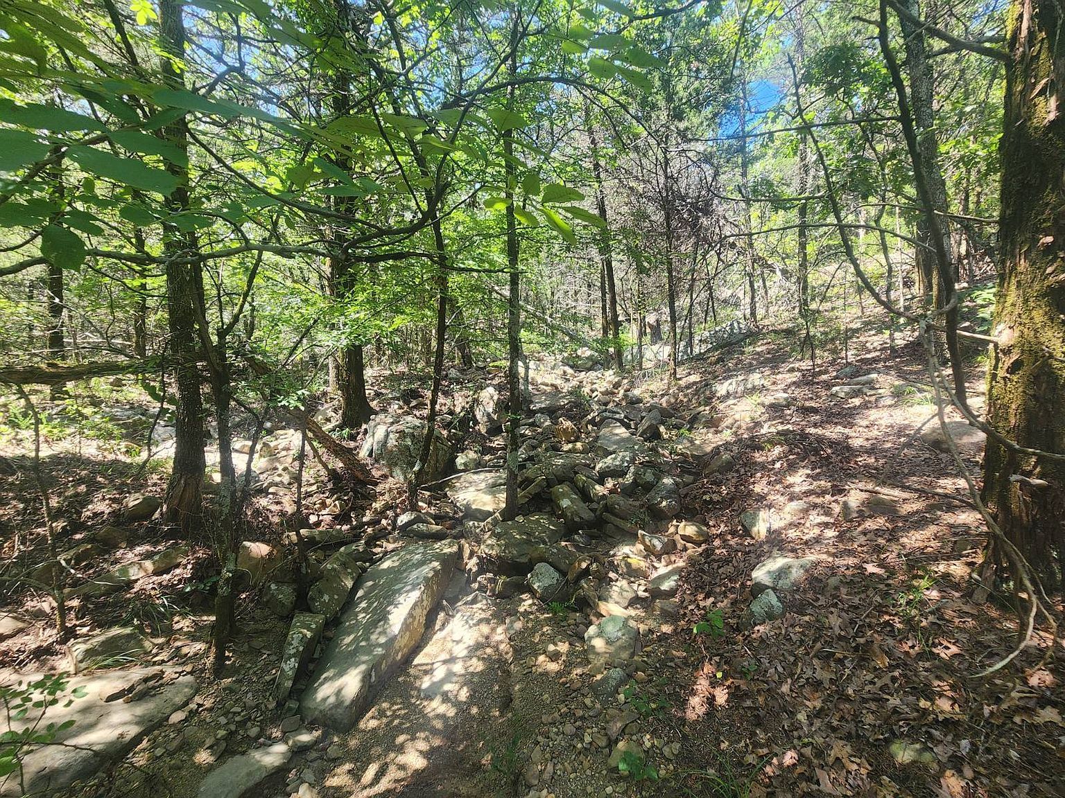 0 SE Highway 63 Talihina, OK 74571 - Thumbnail 4