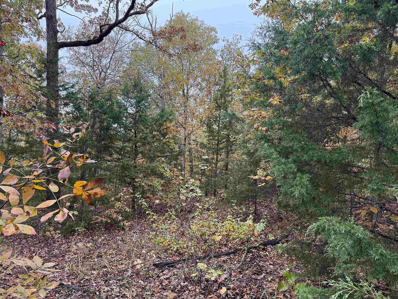 Russell Rd Hardy, AR 72542 - Thumbnail 4