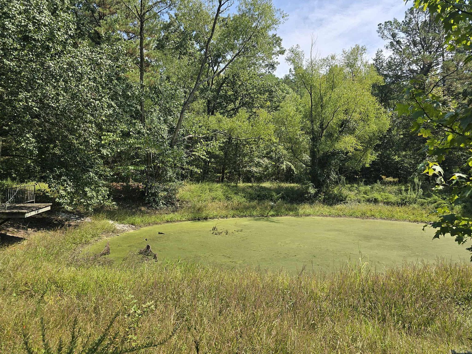 Bittersweet Ln Royal, AR 71968 - Thumbnail 4