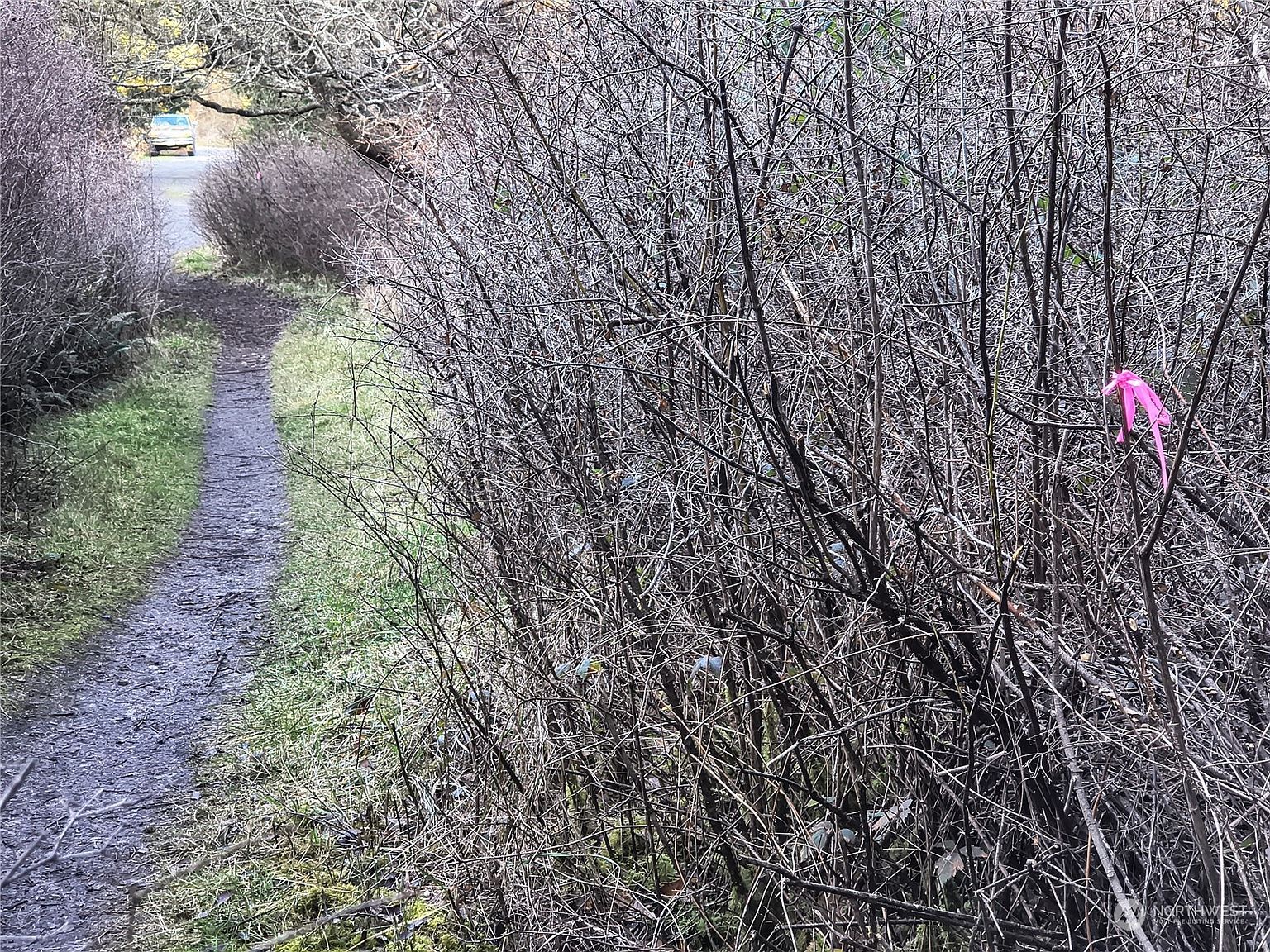 0 Sherman St Pt Townsend, WA 98368 - Thumbnail 4