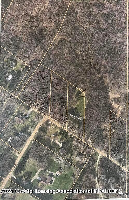 PARCEL Bailey Rd #B Dimondale, MI 48821 - Thumbnail 4