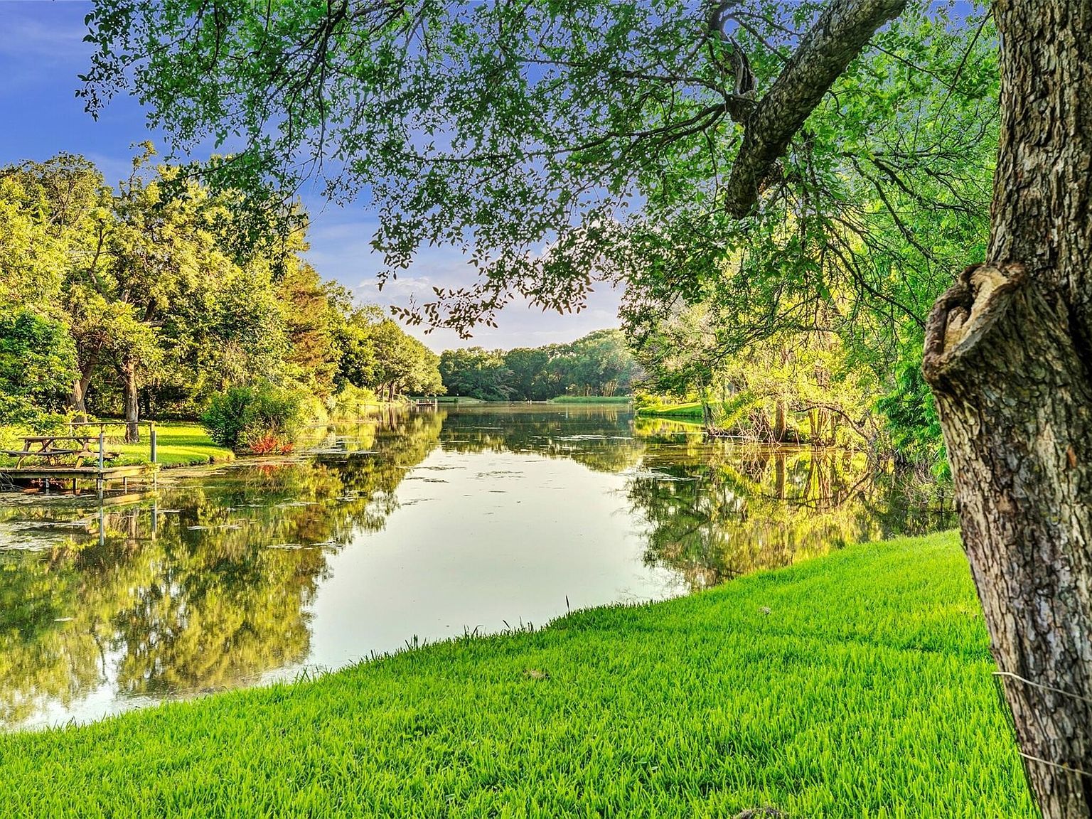 218 New Market Rd Mesquite, TX 75149 - Thumbnail 4