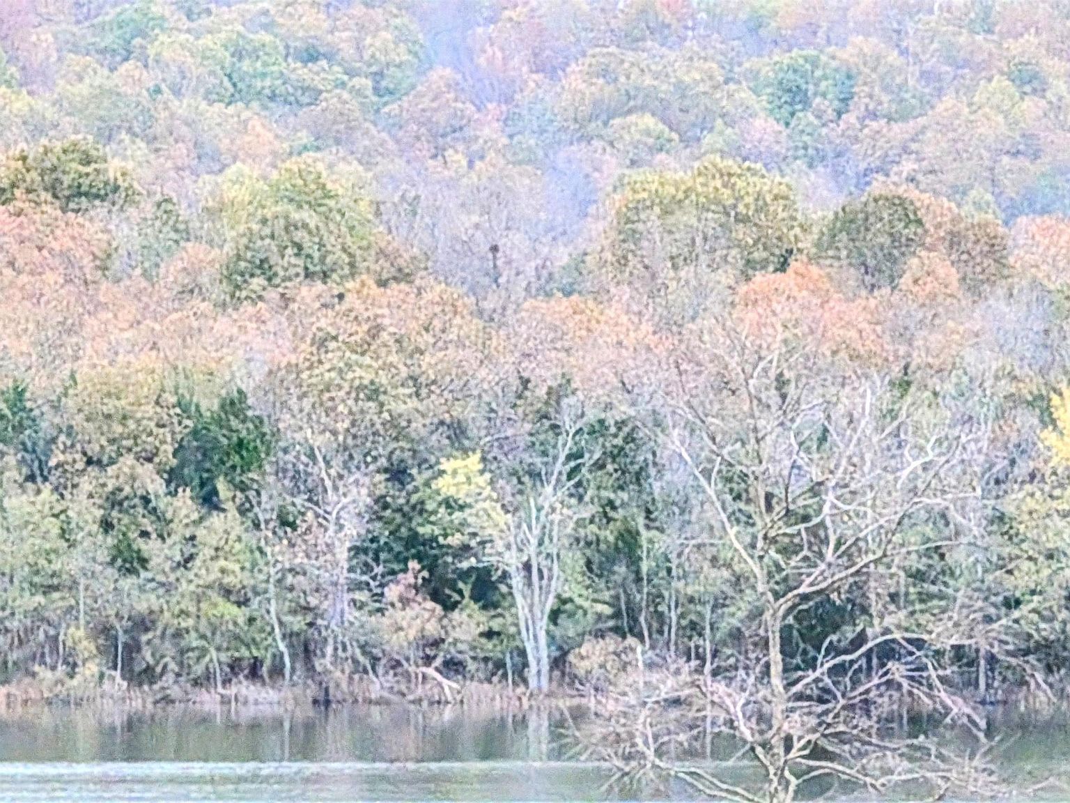 1805 Fox Point Horseshoe Bend, AR 72512 - Thumbnail 4