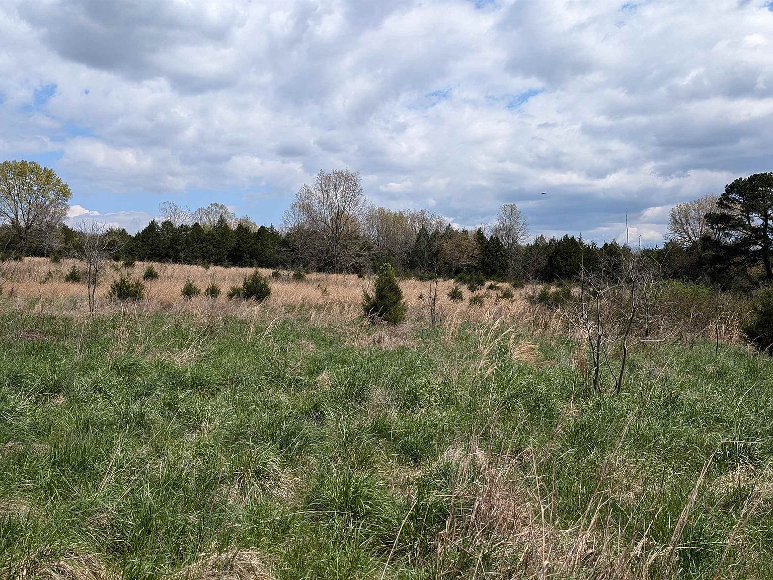 56 High Way Ash Flat, AR 72513 - Thumbnail 4