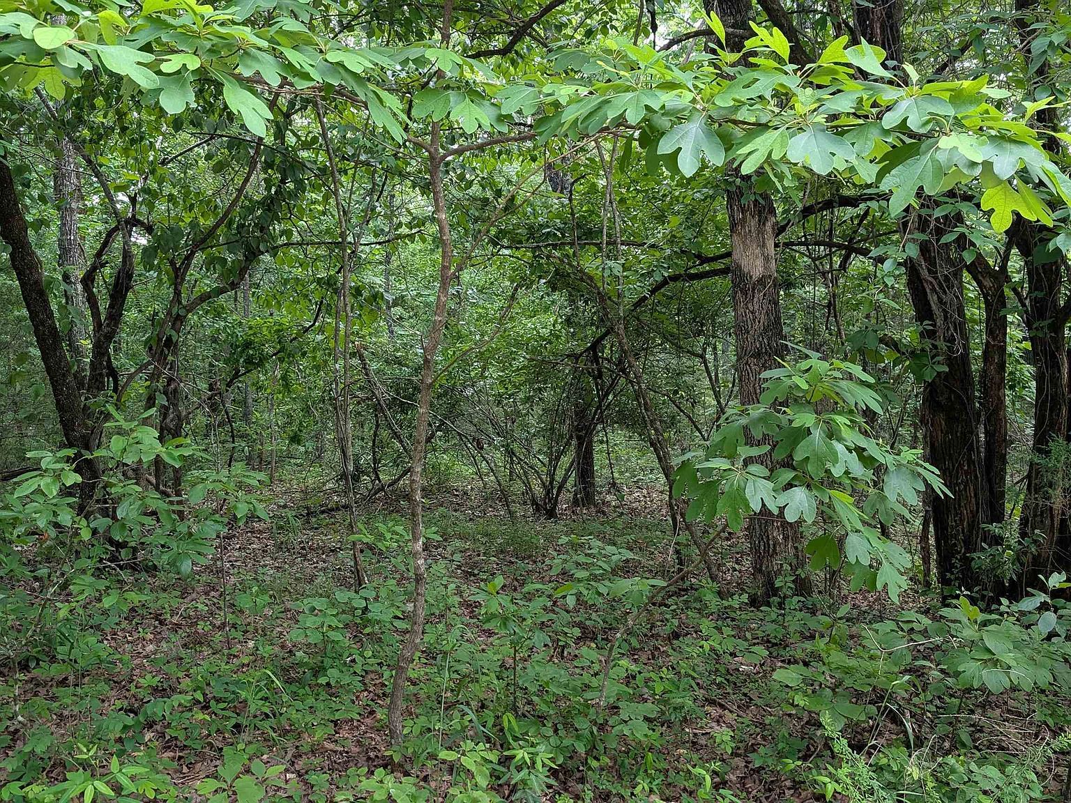 201 Cinderella St Horseshoe Bend, AR 72512 - Thumbnail 4