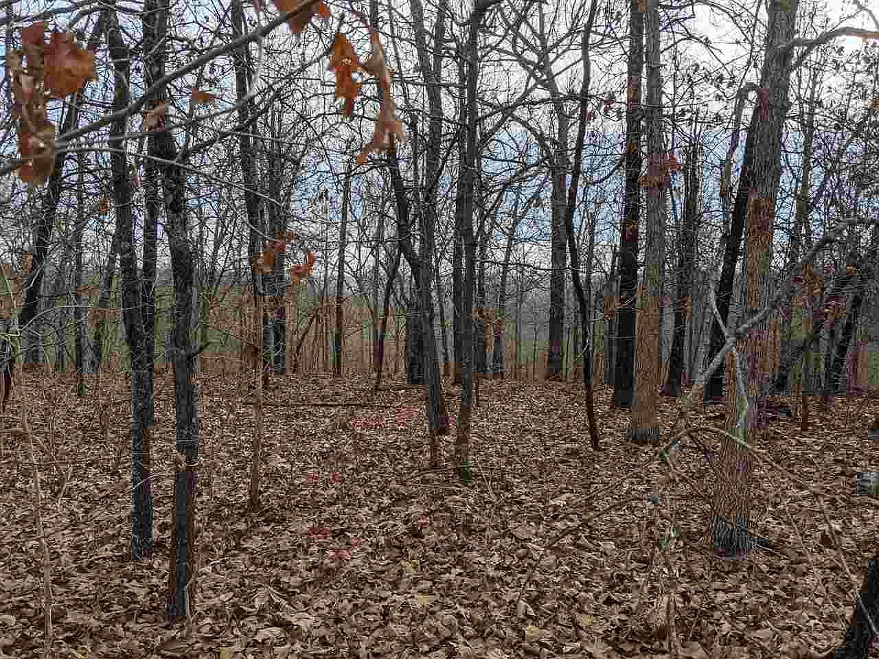 Cherokee Acres Dr Cherokee Village, AR 72529 - Thumbnail 4