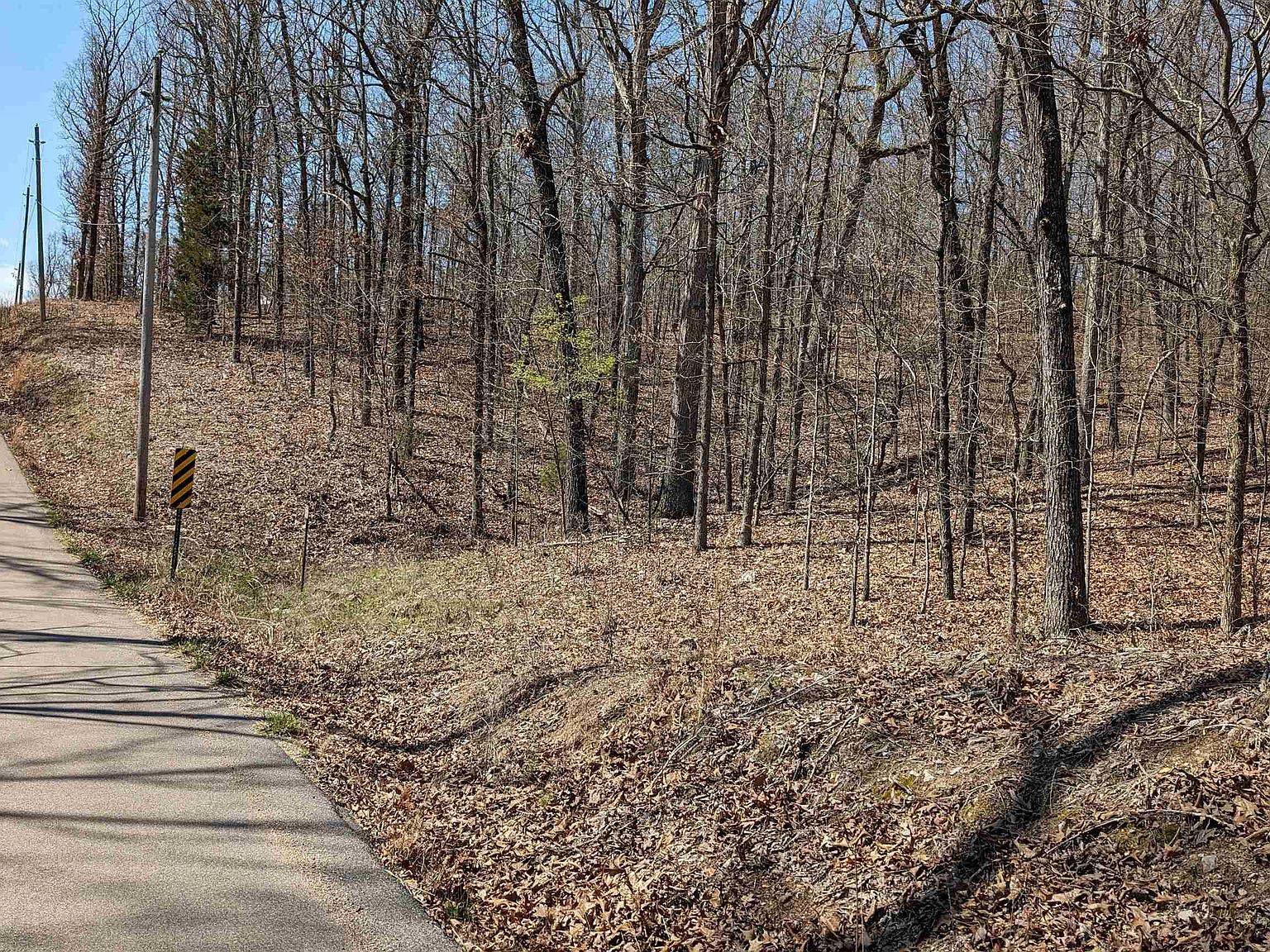 31 Ridgecrest Dr Hardy, AR 72542 - Thumbnail 4