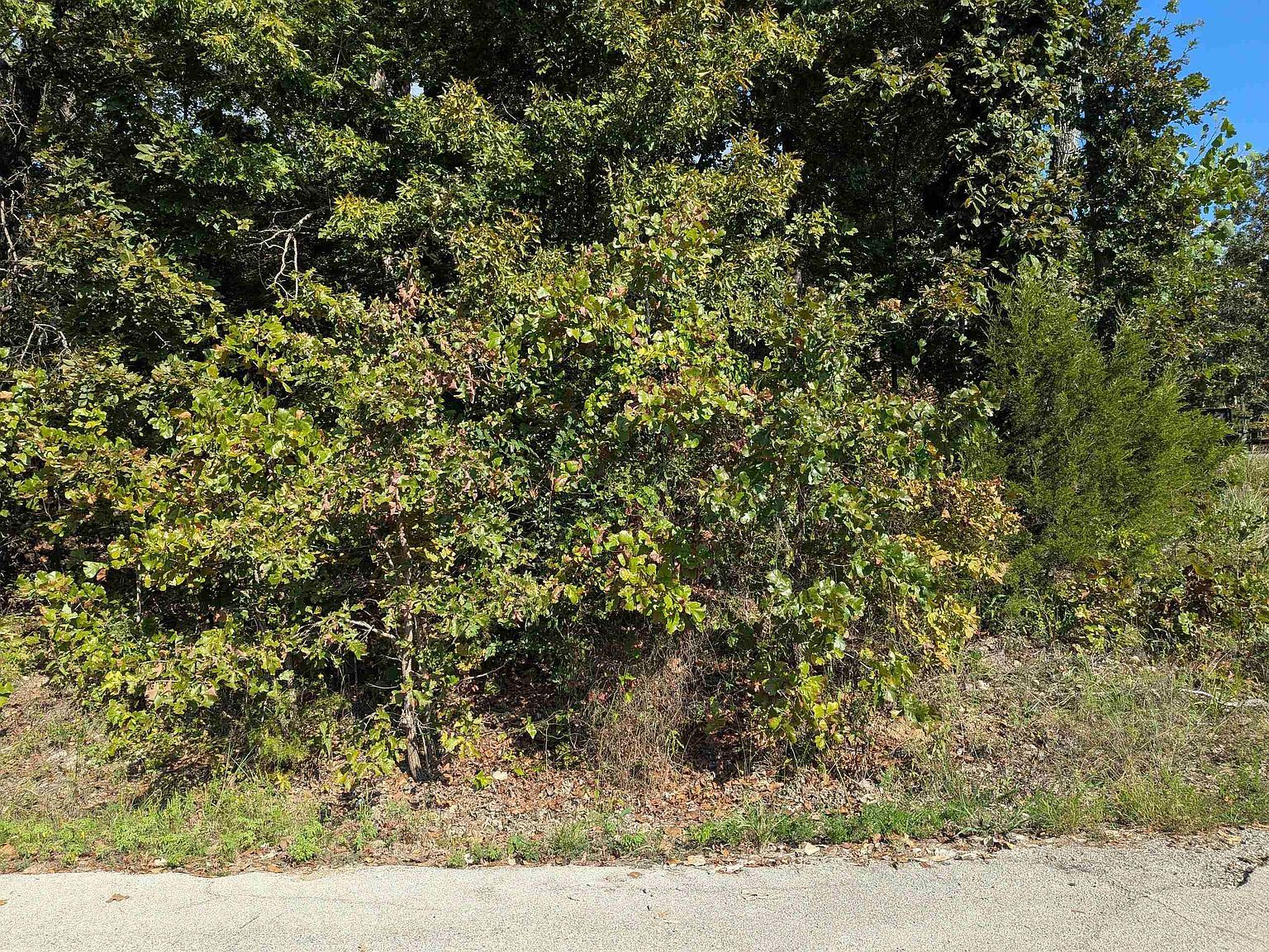 L20-21 22 B6 Lakota Trce Cherokee Village, AR 72529 - Thumbnail 4