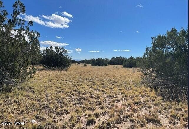 County Road 7111 Saint Johns, AZ 85936 - Thumbnail 4