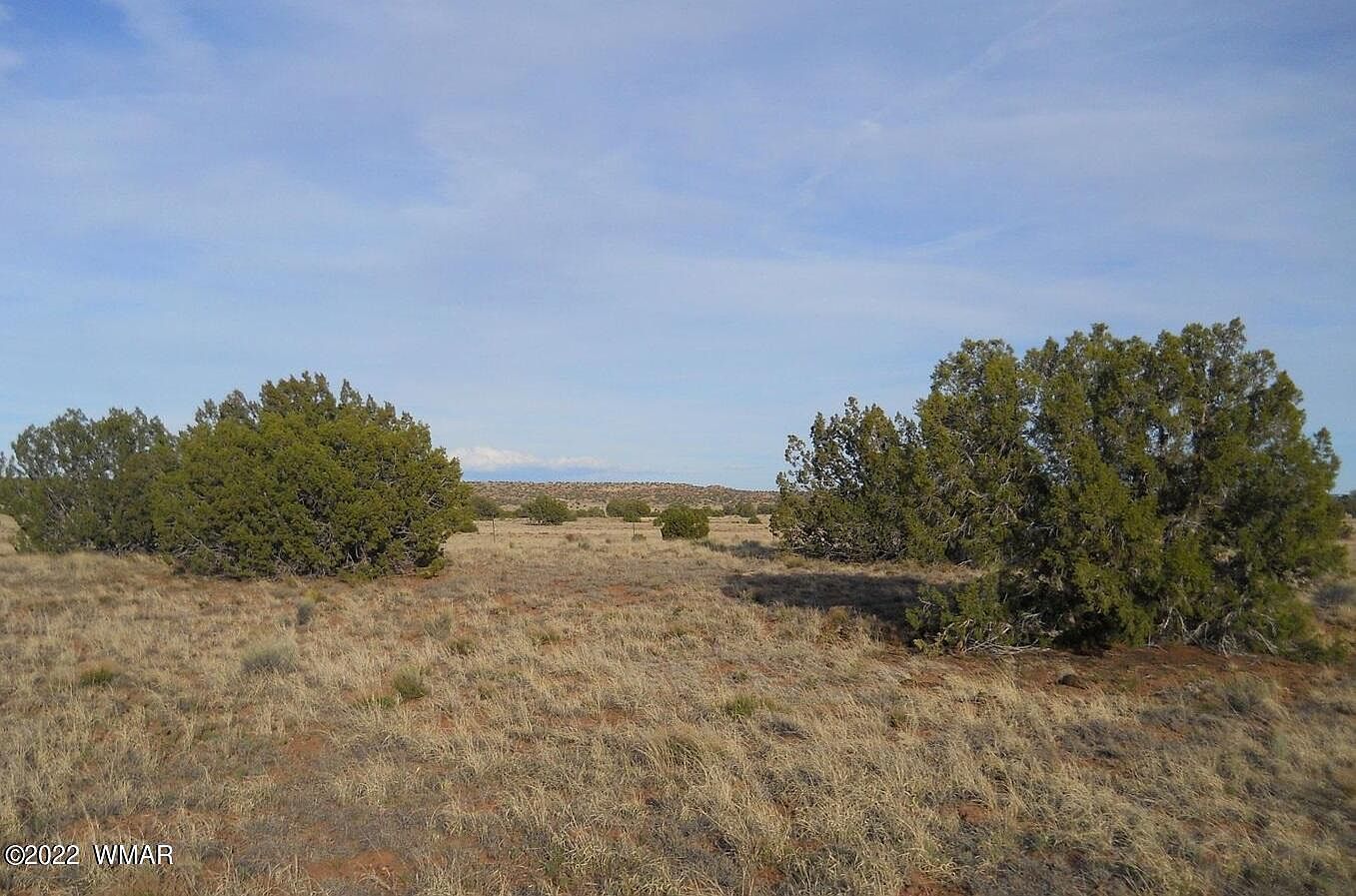 19 County Rd Concho, AZ 85924 - Thumbnail 4