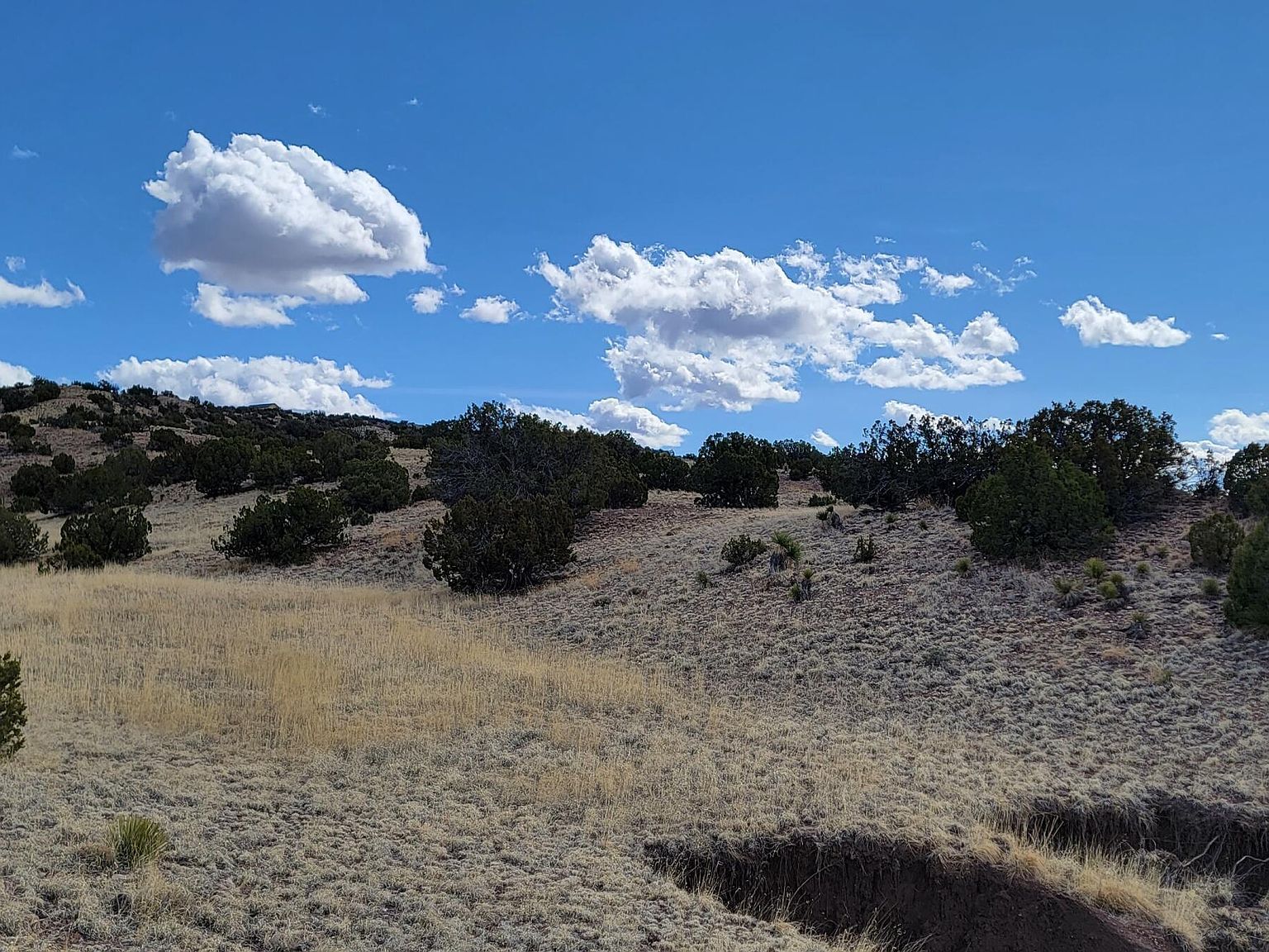 County Road N5337 Concho, AZ 85924 - Thumbnail 4