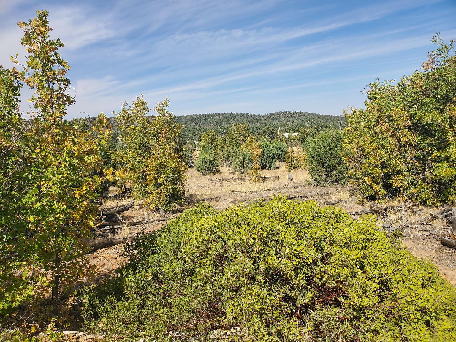 White Cloud Ln Pinedale, AZ 85934 - Thumbnail 4