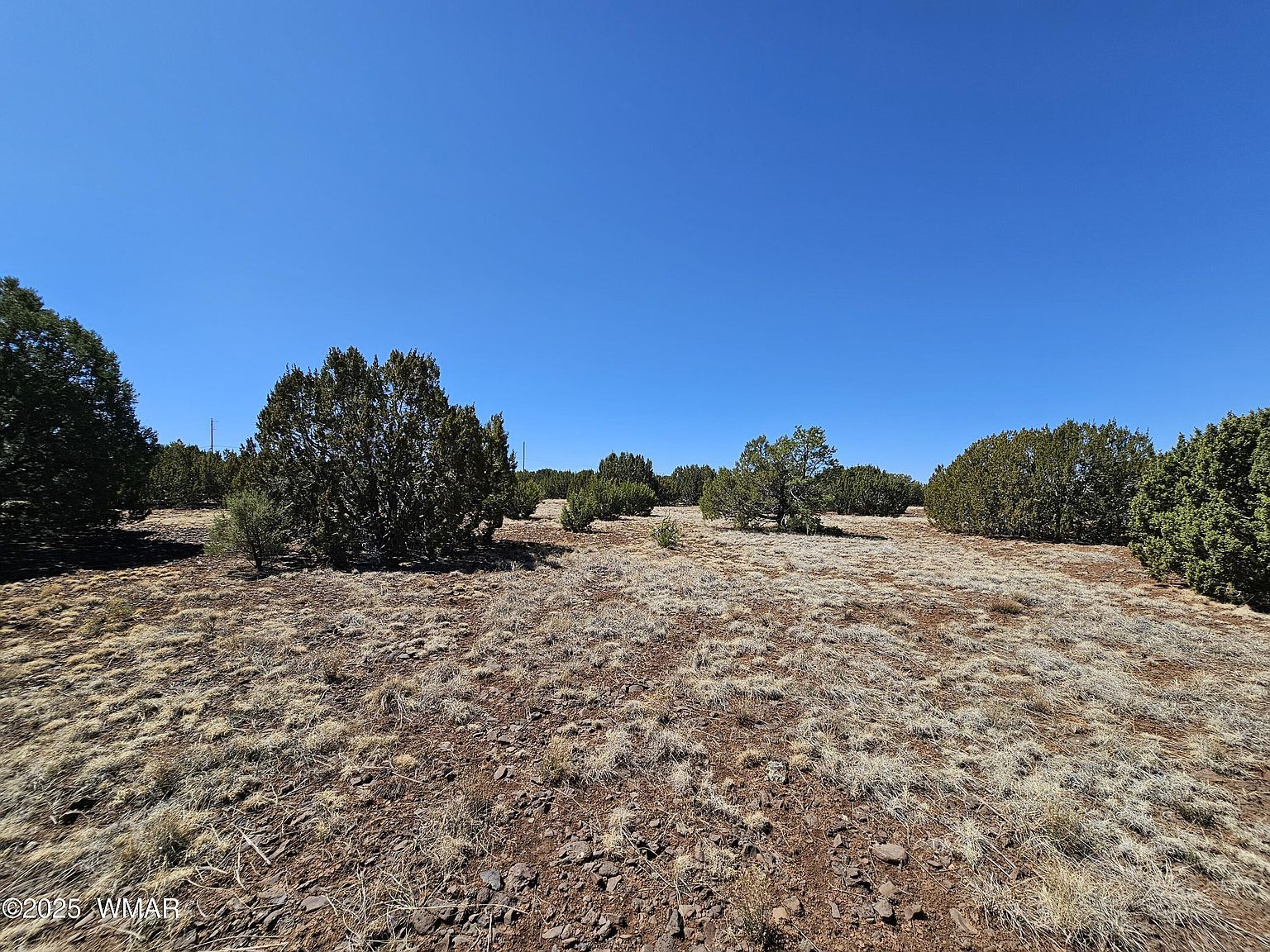 105 Co Rd Vernon, AZ 85940 - Thumbnail 4