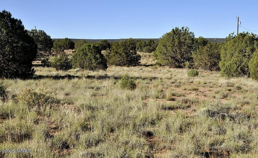 4427 Pinto Rd Snowflake, AZ 85937 - Thumbnail 4