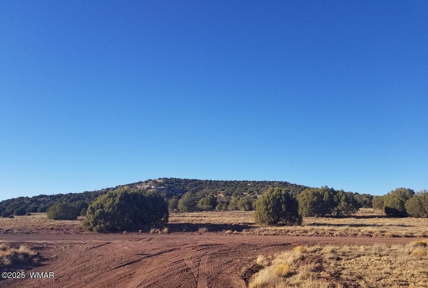 35 County Road 8281 Concho, AZ 85924 - Thumbnail 4