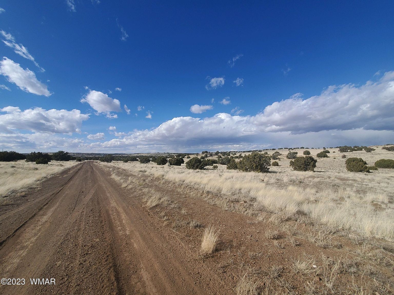 8 County Road 5203 Concho, AZ 85924 - Thumbnail 4