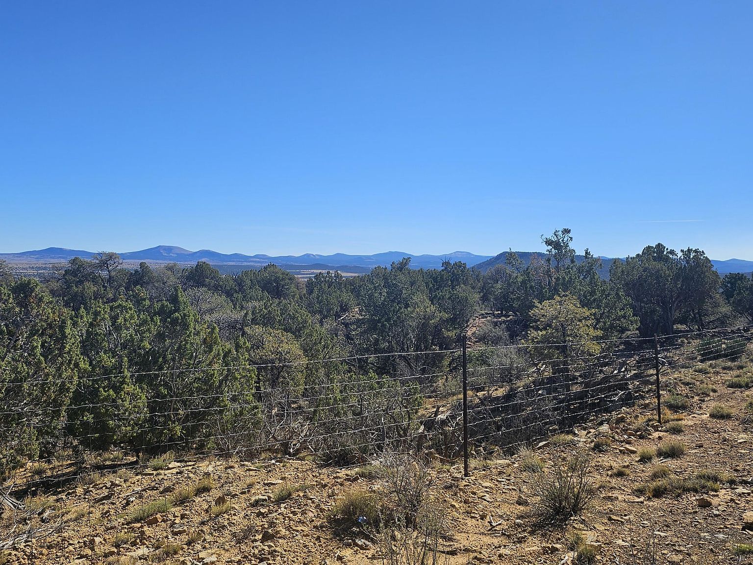 4 County Rd Concho, AZ 85924 - Thumbnail 4
