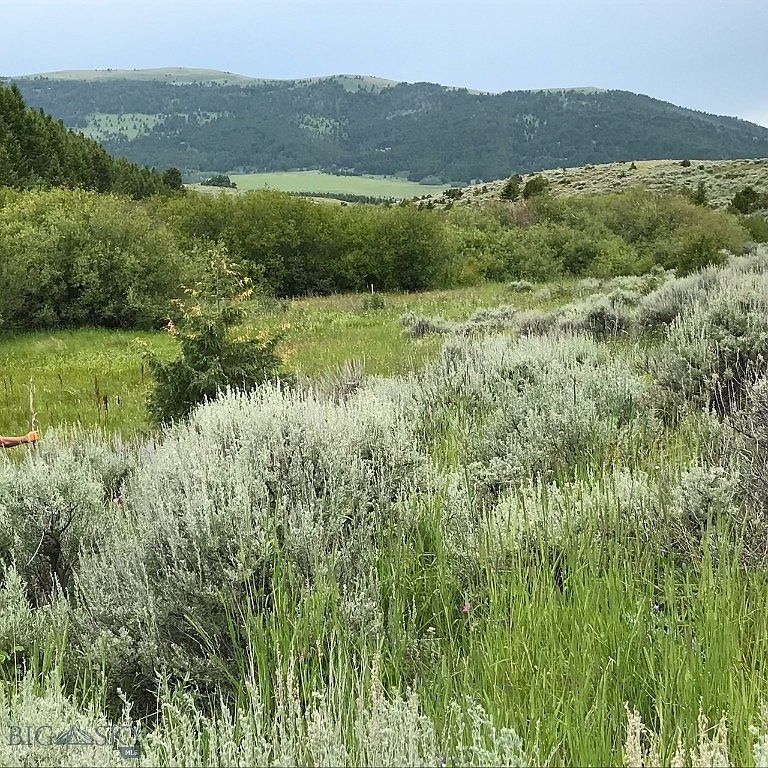 40 Mike Day Dr White Sulphur Springs, MT 59645 - Thumbnail 4