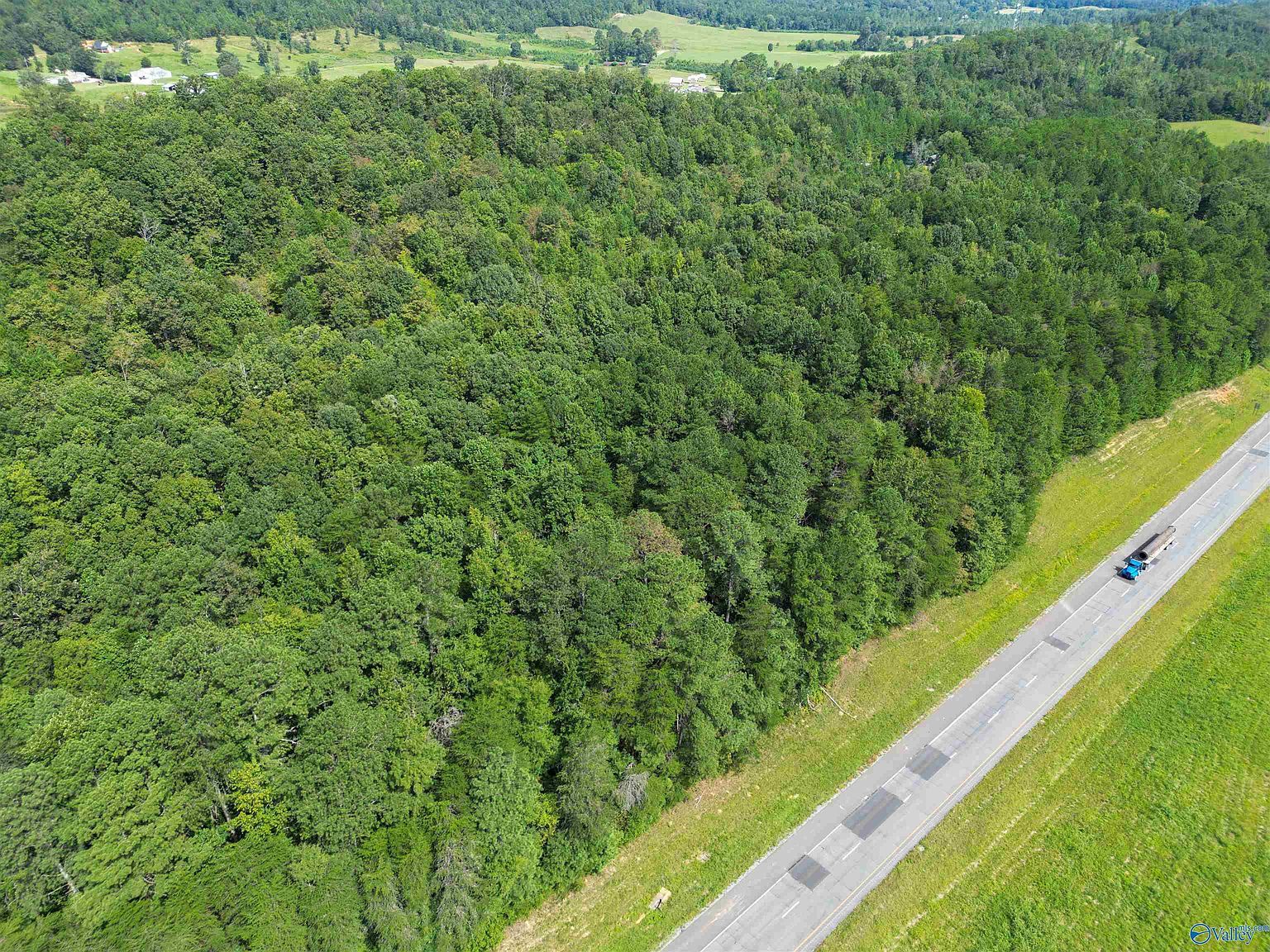 County Road 611, Valley Head, AL, 35989 - Thumbnail 4