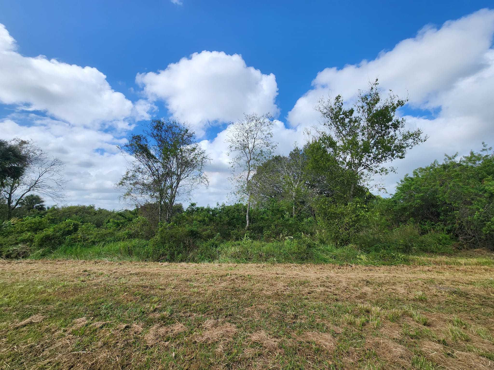 760 North Brida Street, Clewiston, FL, USA, 33440 - Thumbnail 4