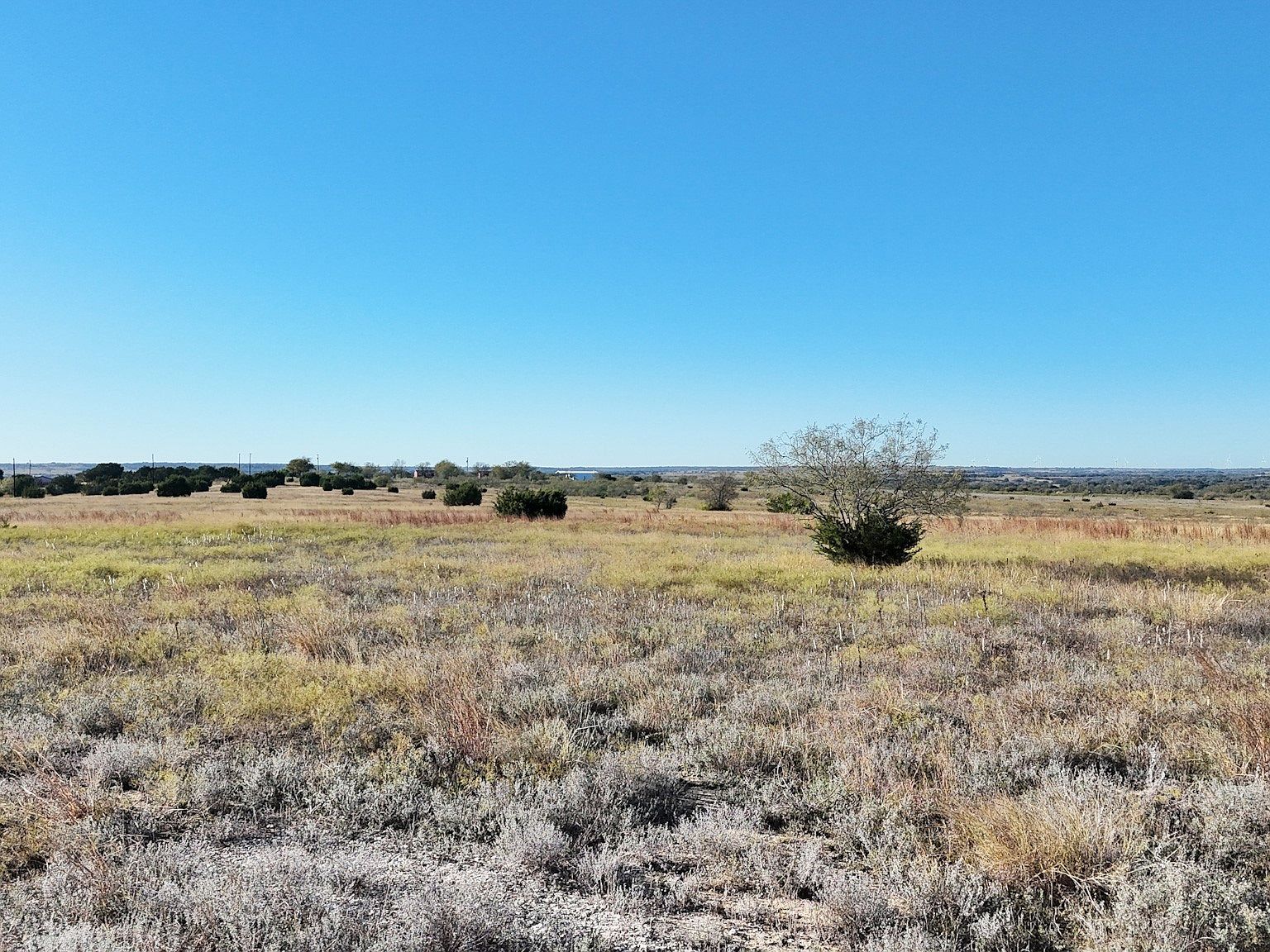 County Road 619 Hamilton, TX 76531 - Thumbnail 4