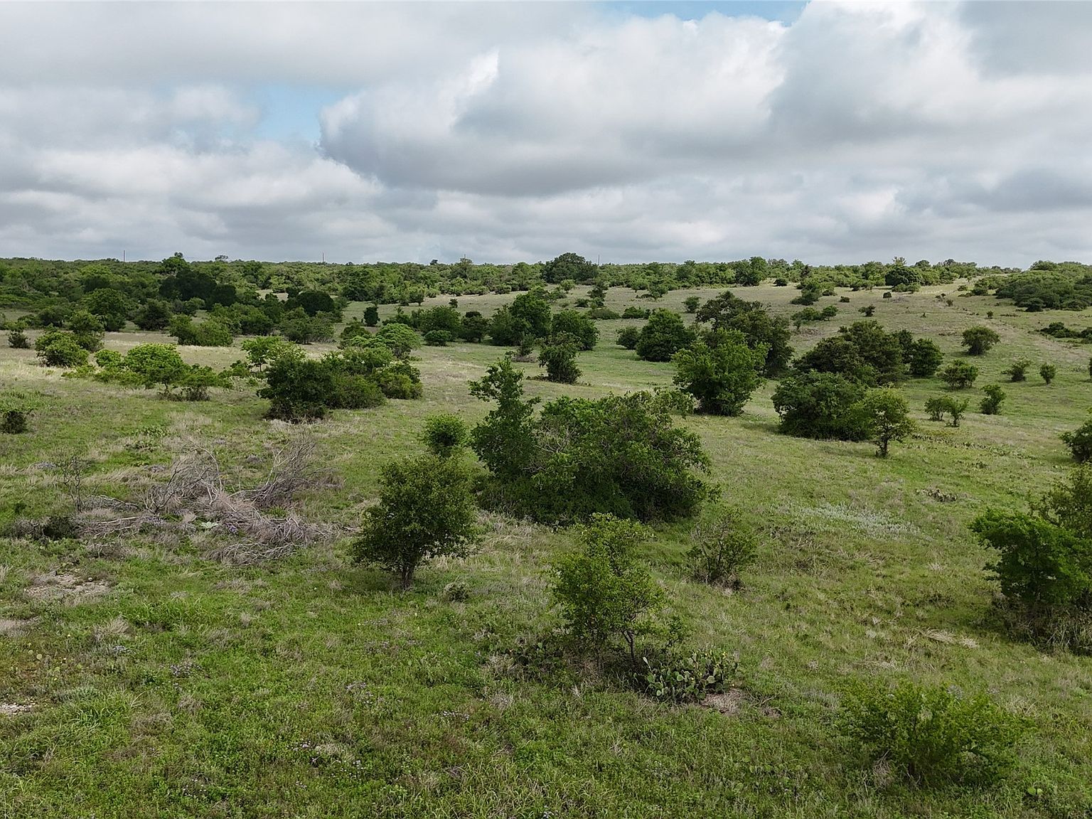 LOT 51 County Road 242 Comanche, TX 76442 - Thumbnail 4