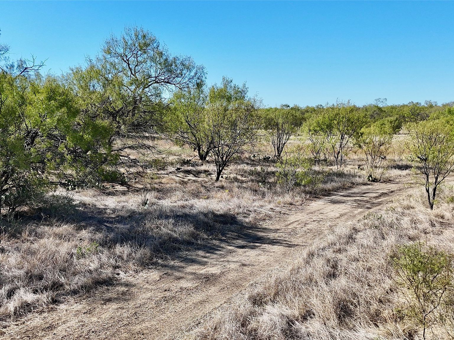 456 County Road 156 Eastland, TX 76448 - Thumbnail 4