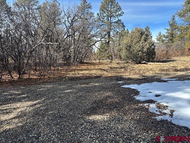 2308 Bull Elk Pl Pagosa Springs, CO 81147 - Thumbnail 4