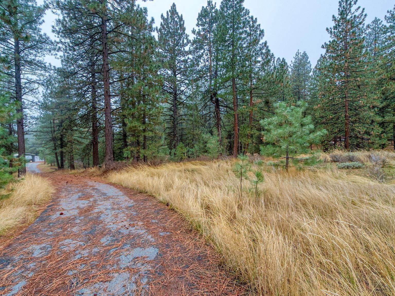 1586 Grizzly Rd Portola, CA 96122  | Land/Lot