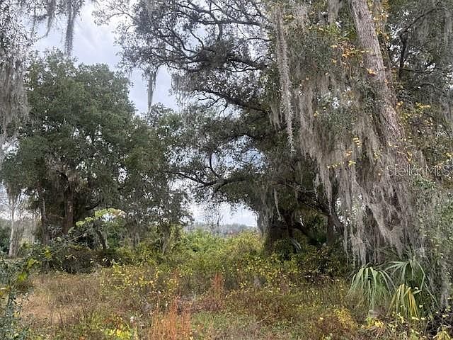 SE 175th Ter Lot 18 Silver Springs, FL 34488 - Thumbnail 4