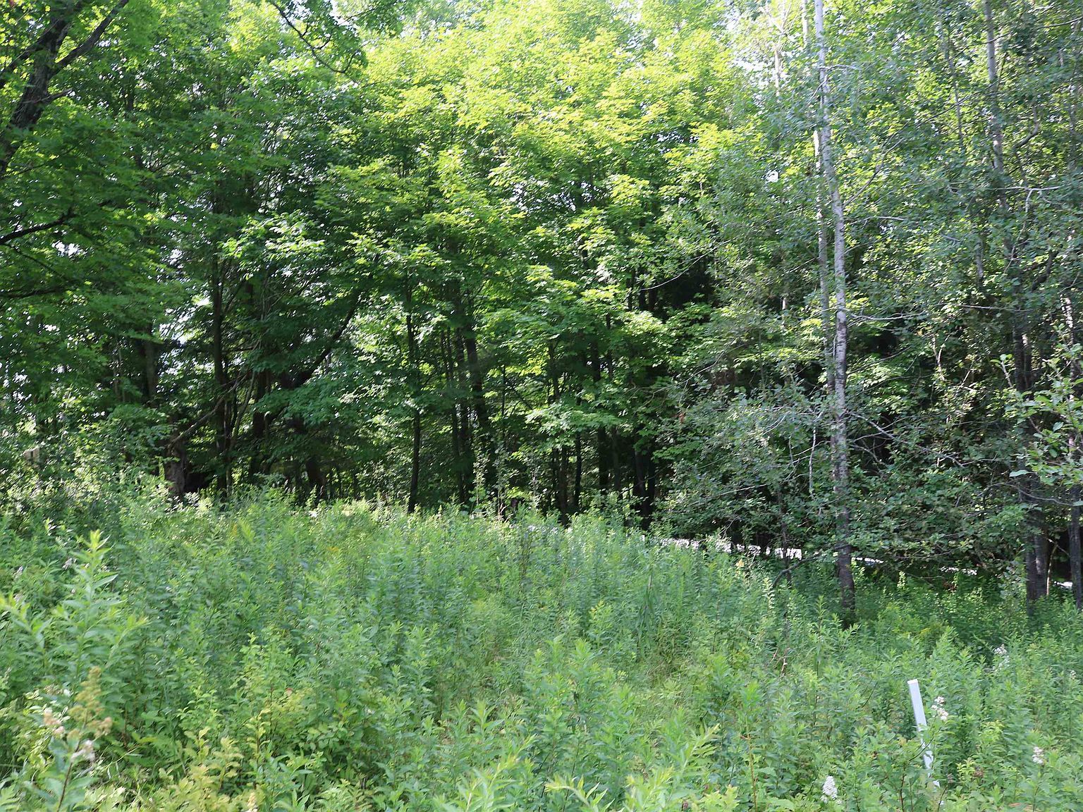 223 Deming Rd Enosburg Falls, VT 05450  | Land/Lot