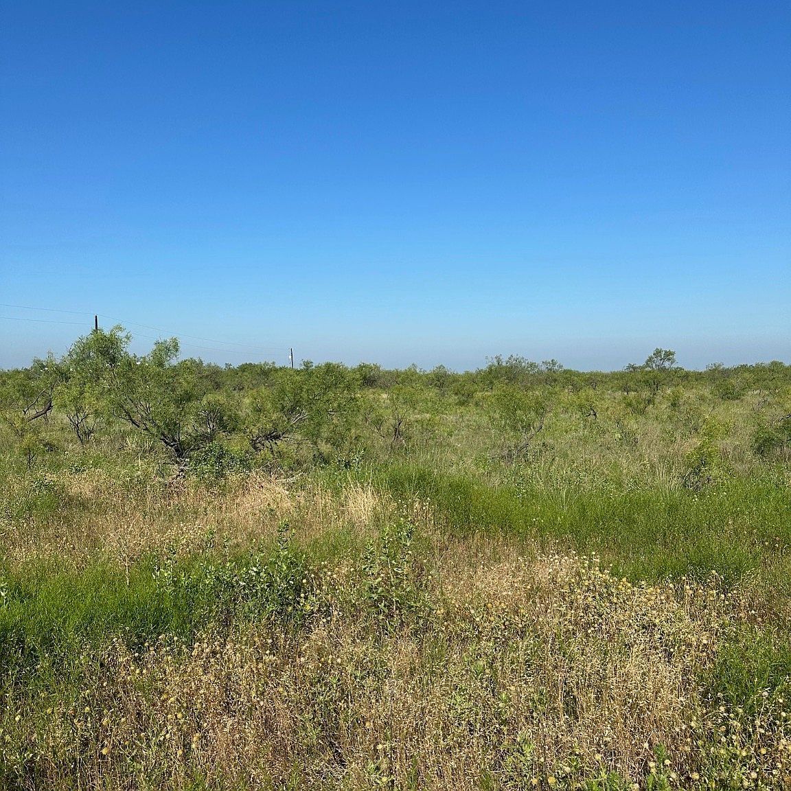 TRACT 20 County Road 155 Abilene, TX 79601 - Thumbnail 4