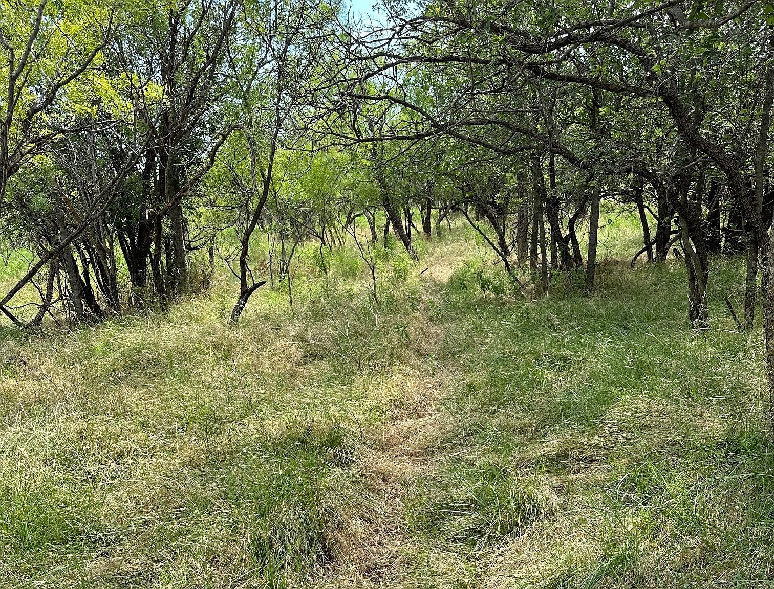 19 County Road 150 Abilene, TX 79601 - Thumbnail 4