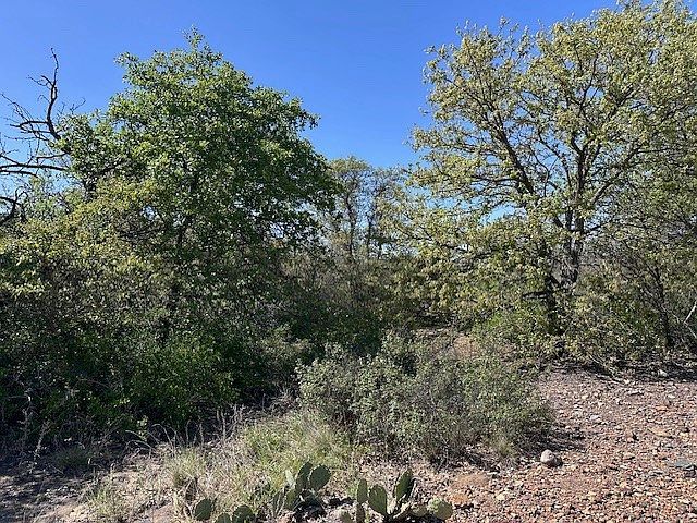 147 & 148 Hidden Shores Dr Cisco, TX 76437 - Thumbnail 4