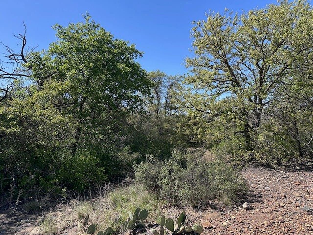 (undisclosed Address) Cisco, TX 76437 - Thumbnail 4