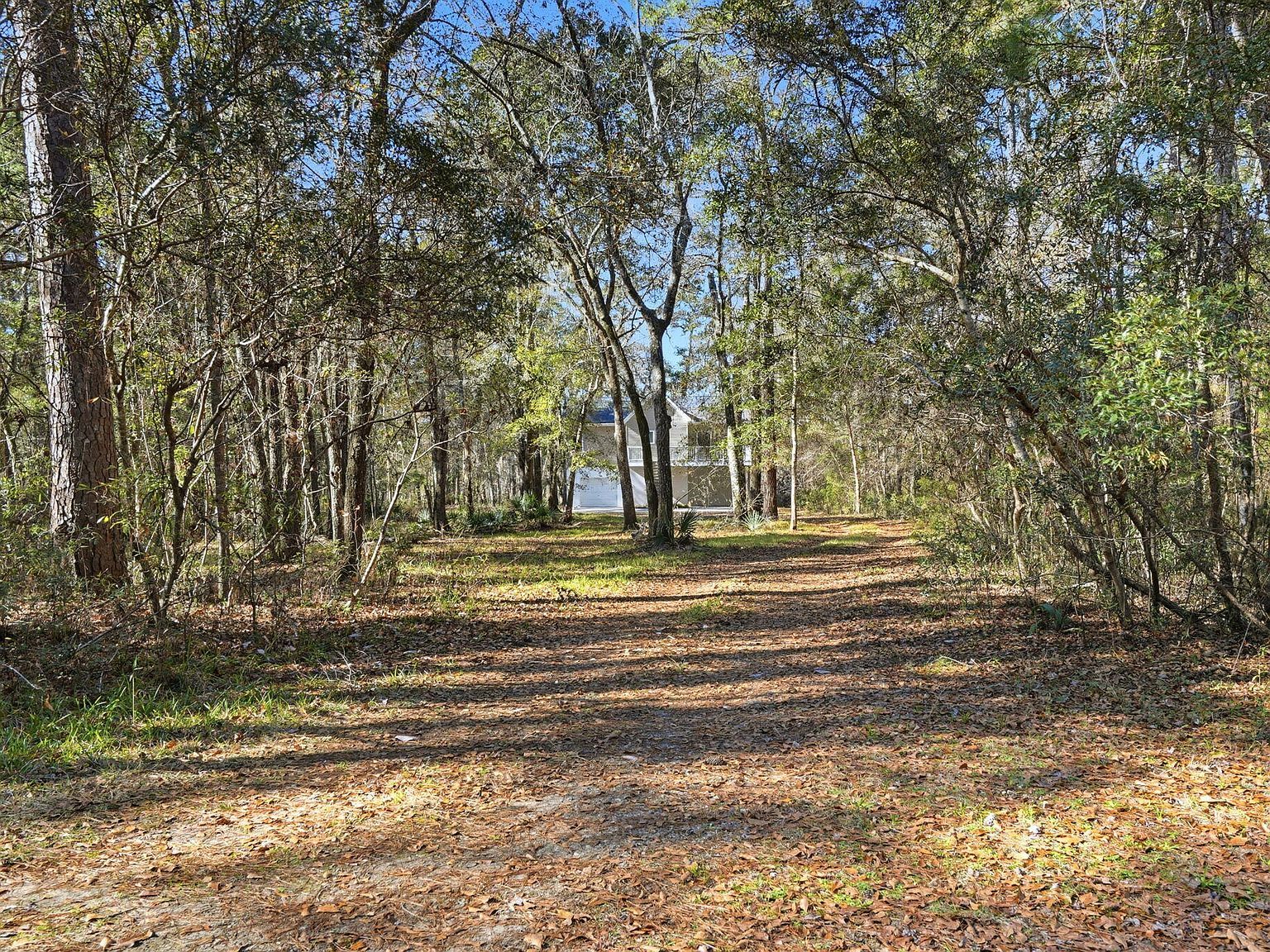 9450 Savannah Hwy Adams Run, SC 29426 - Thumbnail 4