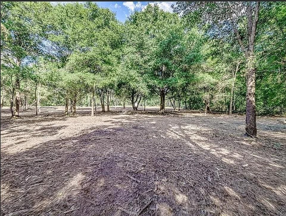 4206 Knights Station Rd #2 Lakeland, FL 33810 - Thumbnail 4